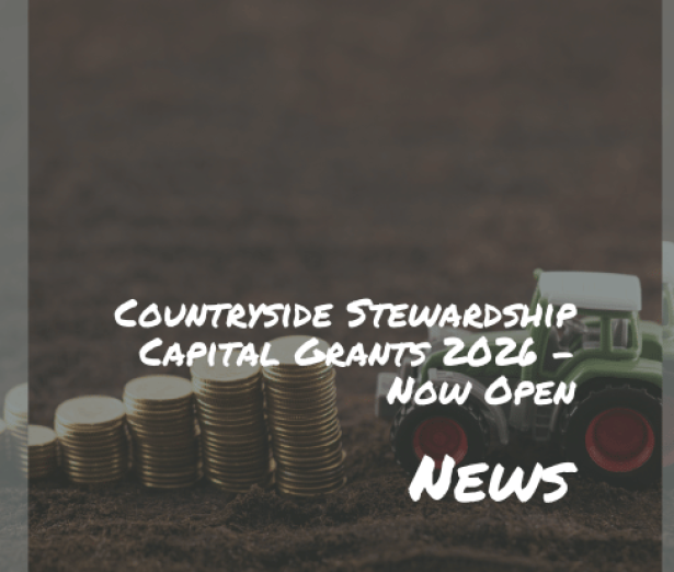 CapitalGrants_open_Web