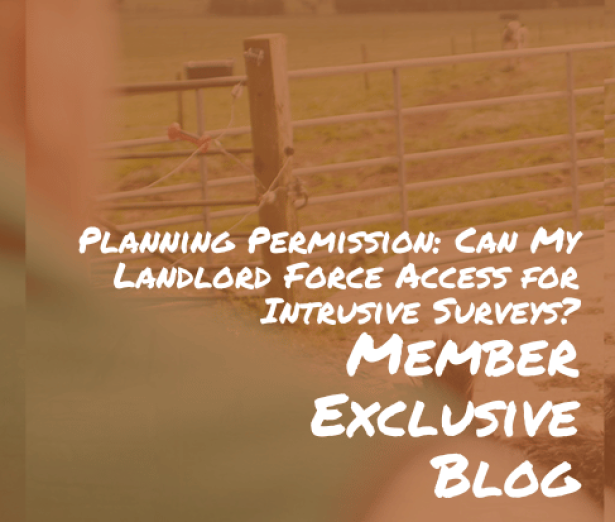 PlanningSurveys+Blog