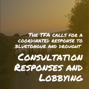 TFA Lobbying #15 –  TFA Calls on Government for a Coordinated Response to Bluetongue and Drought