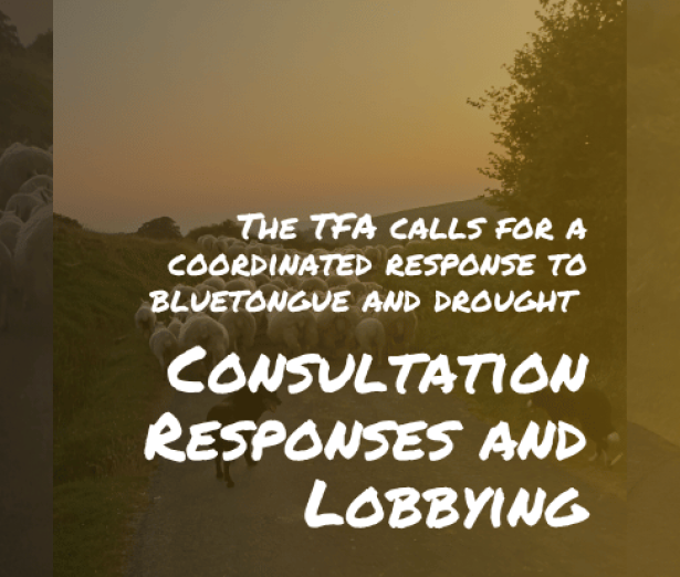 Lobbying_bluetongue