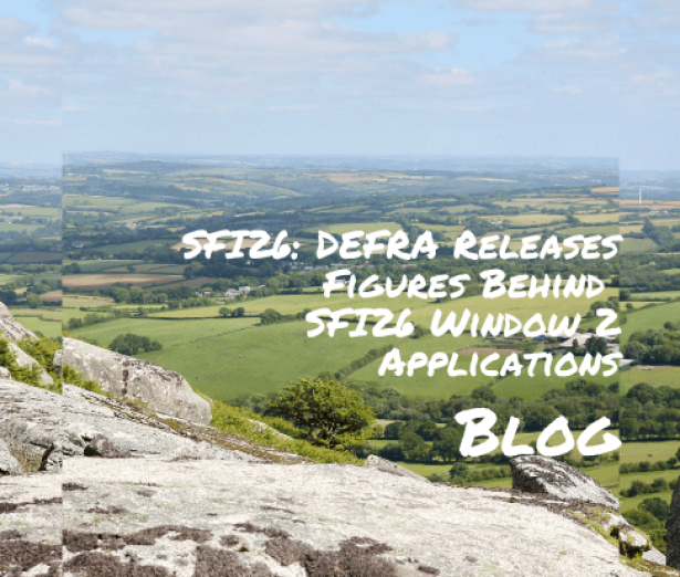 BBlog_SFINumbers