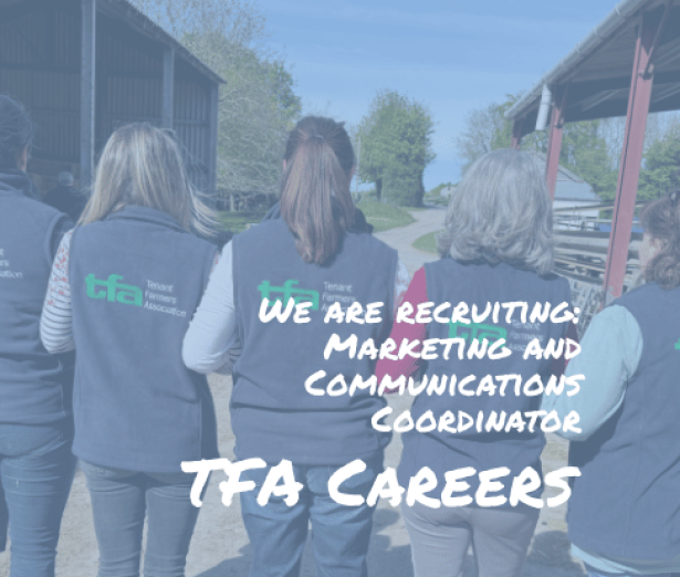 Careers_MarketingCommsCoord