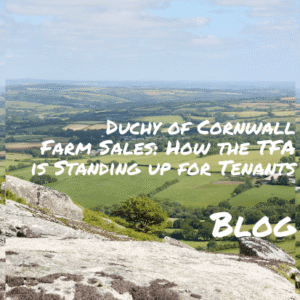 TFA Blog #374 – Duchy of Cornwall Farm Sales: How the TFA is Standing up for Tenants