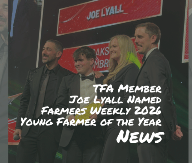 JoeL_Website